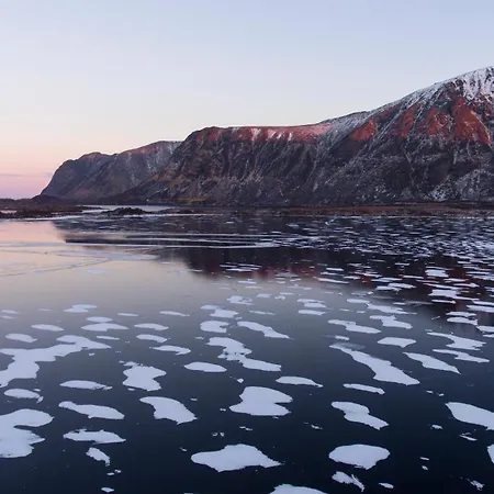 Peaceful Wildlife House Nyaraló Bøstad