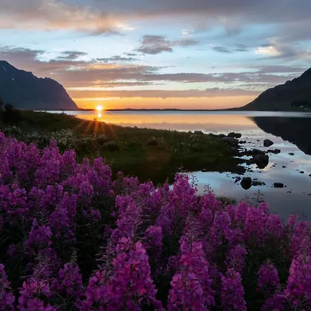 Peaceful Wildlife House