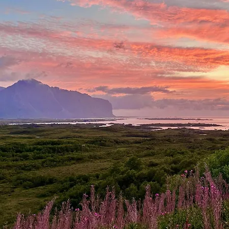 Peaceful Wildlife House