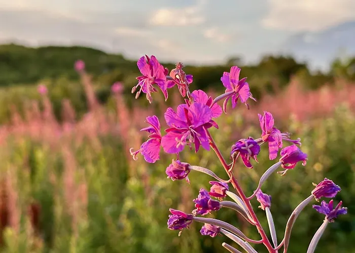 Ferienhaus Peaceful Wildlife House Bostad